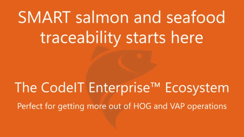 Smart salmon and seafood processing starts at CodeIT (CodeIT Group)