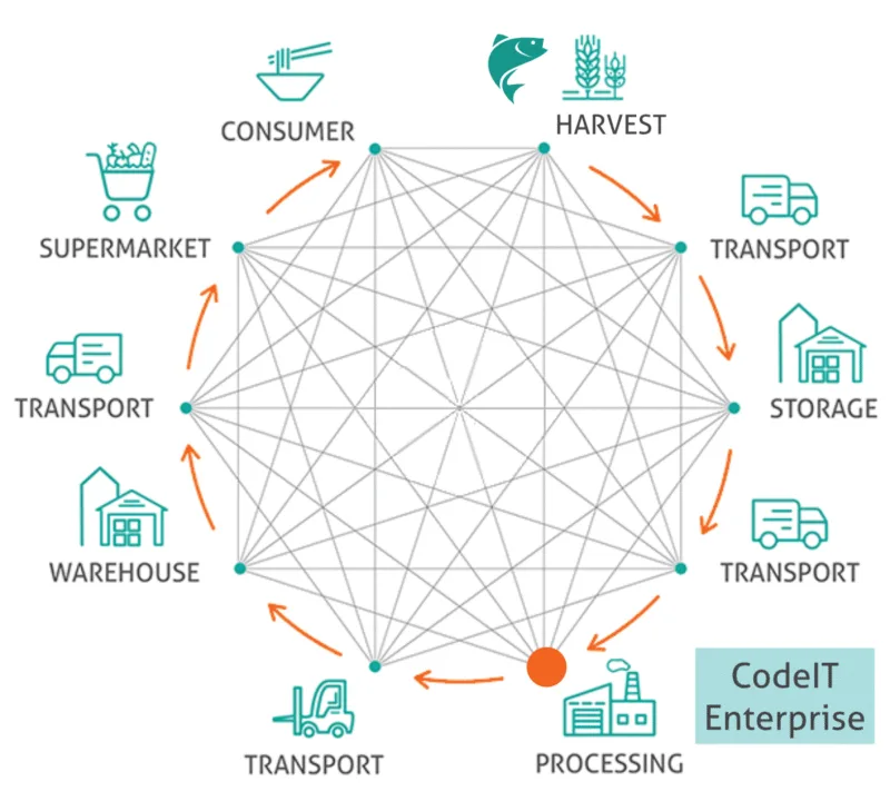 CodeIT Traceability