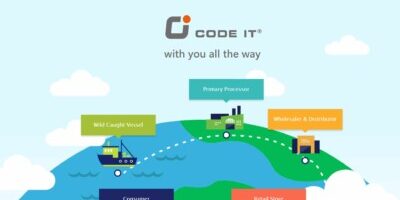 CodeIT - with you all the way CodeIT - with you all the way (CodeIT Group)