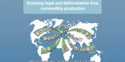 Screenshot from EUDR explainer video Screenshot from EUDR explainer video (CodeIT Group)
