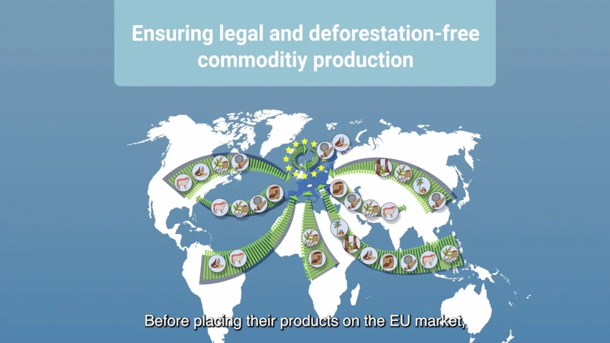 Screenshot from EUDR explainer video (CodeIT Group)